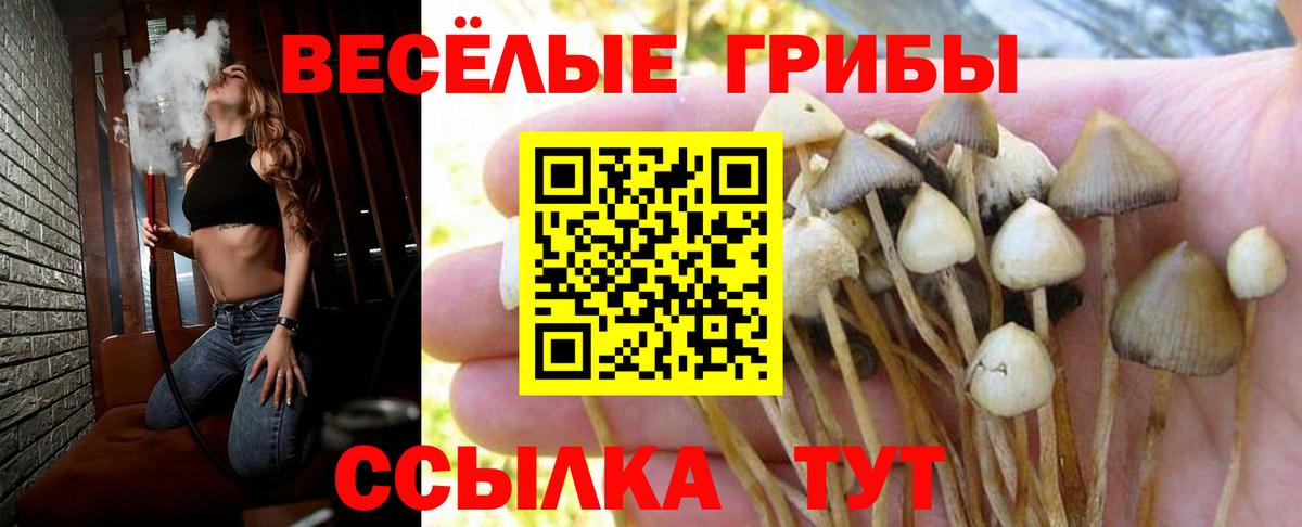 Галлюциногенные грибы GOLDEN TEACHER Севастополь