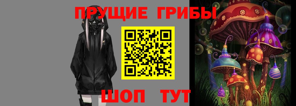 Псилоцибиновые грибы GOLDEN TEACHER  Вход с VPN  Псилоцибиновые грибы Psilocybe  Севастополь 